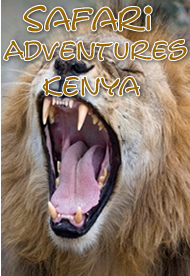 Safari Adventures Kenya