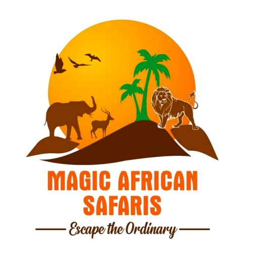 Magic African Safaris