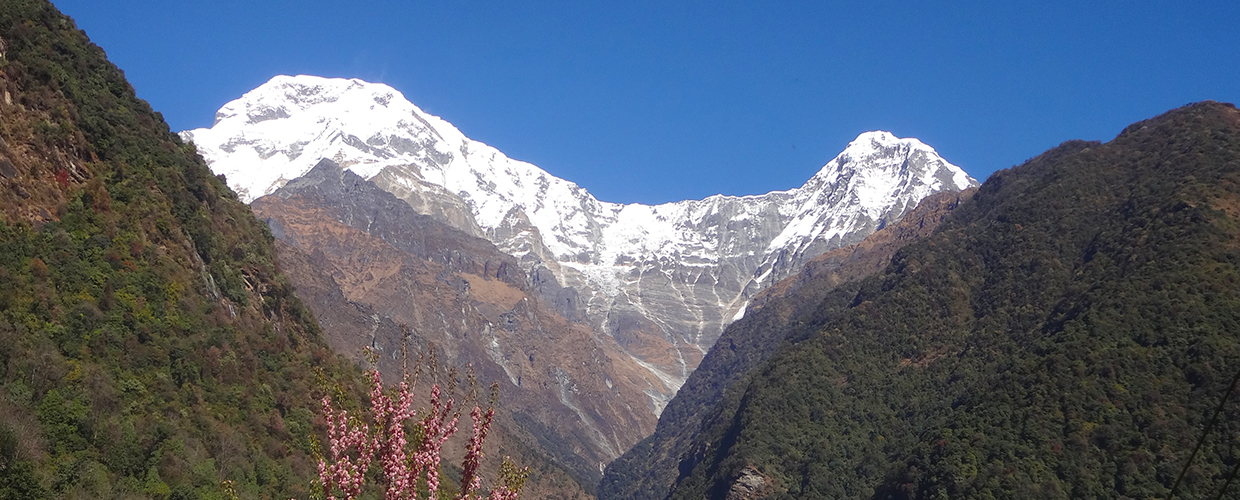 Annapurna Base amp Trek