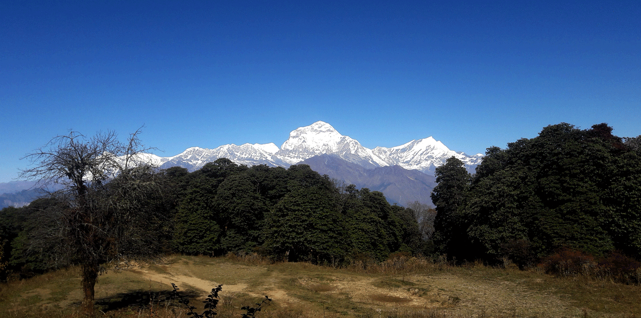 Ghorepani Poon Hill Trek