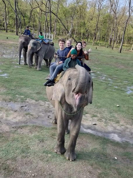 Chitwan Jungle Safari Tour