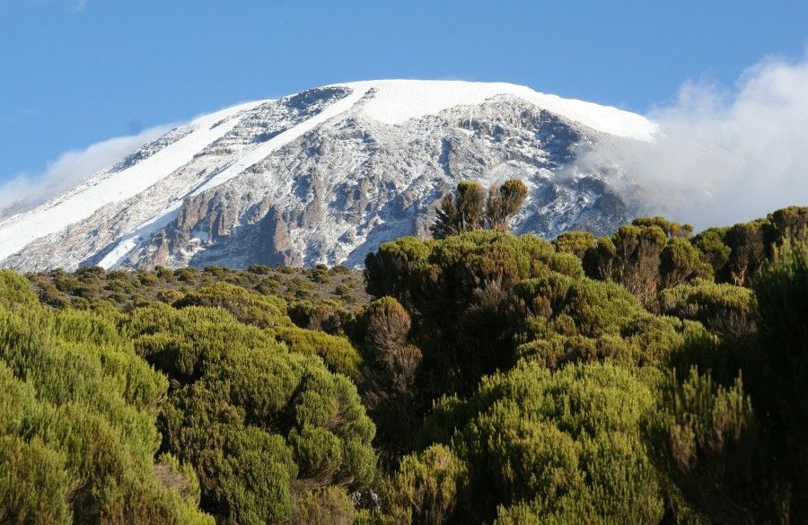 Climbing Kilimanjaro tours on Rongai route