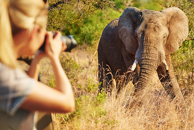 Manyara, Tarangire, Serengeti & Ngorongoro Crater