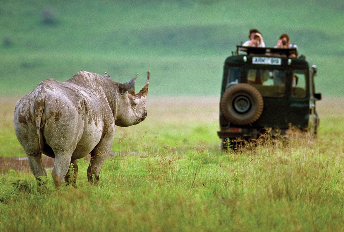 Tanzania Safari