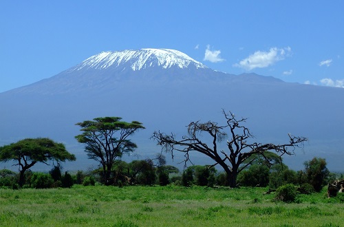 6 Days Kidia Route Kilimanjaro Hiking