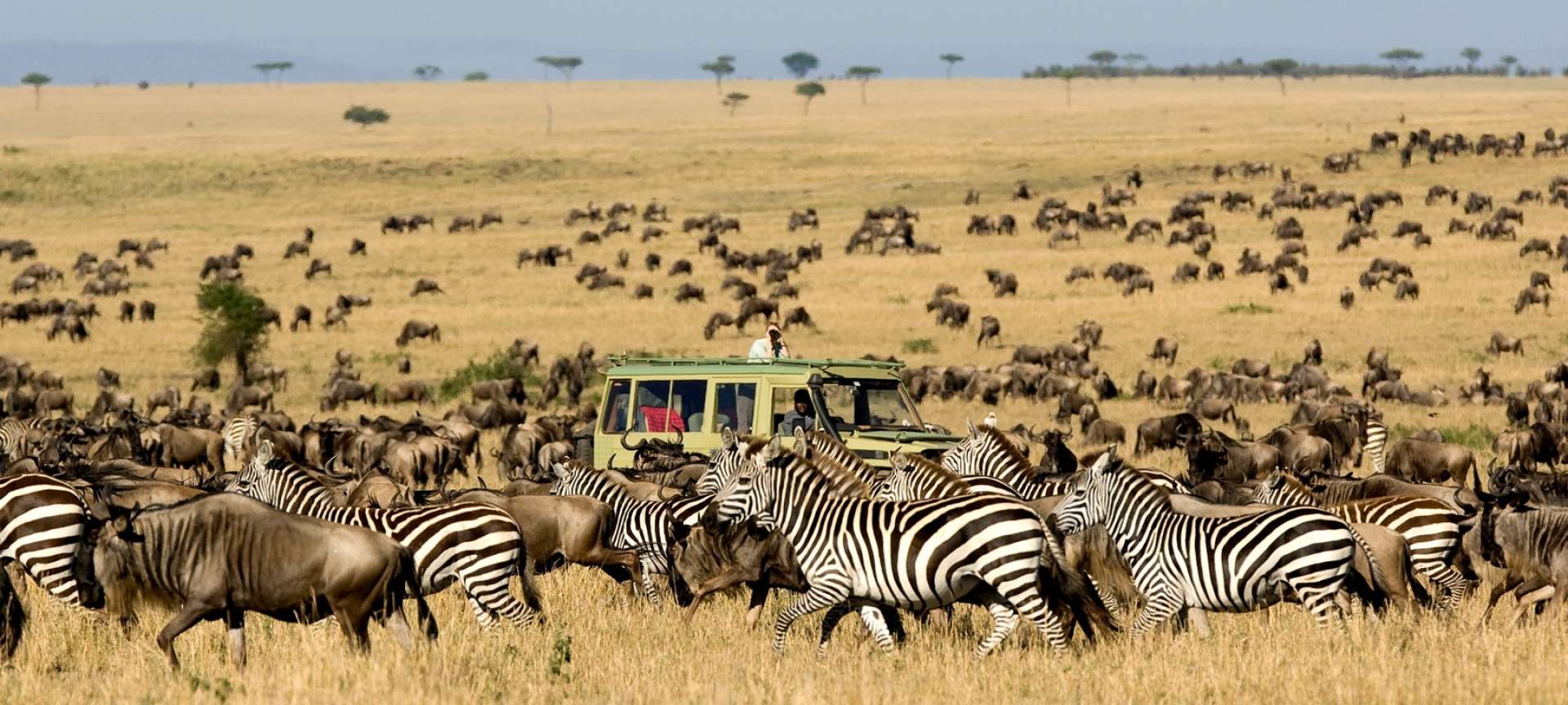 Explore the Maasai Mara: 3-Day Group Safari