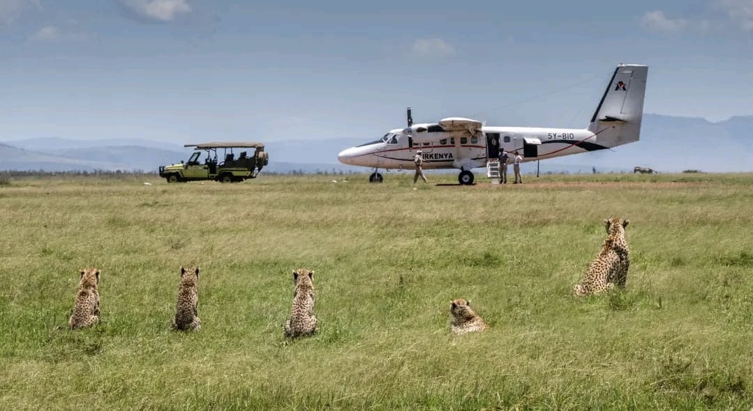 5-Day Masai Mara, Lake Nakuru & Naivasha Safari