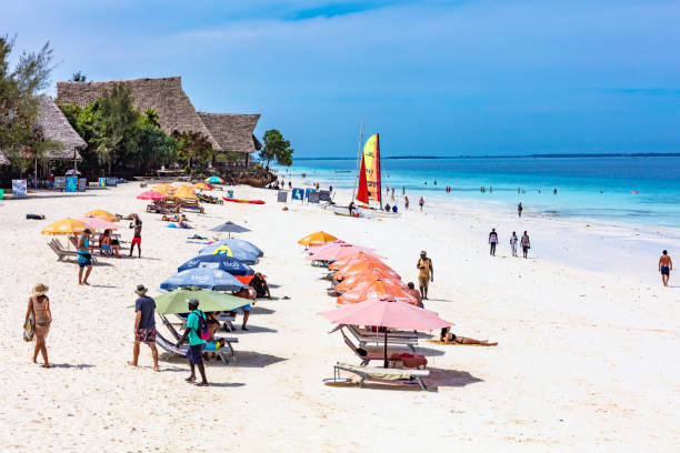 12Days Zanzibar stay with Trip to Mikumi