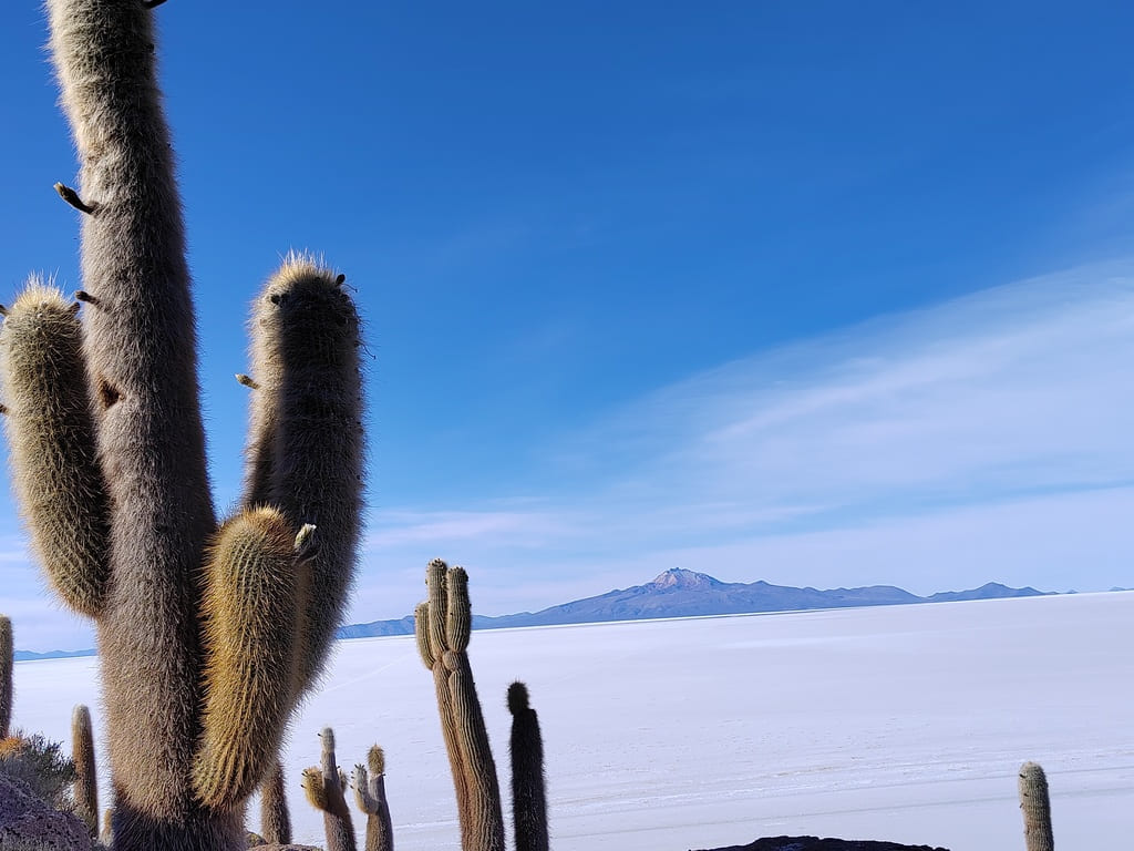 Uyuni Salt Flat – Full Day