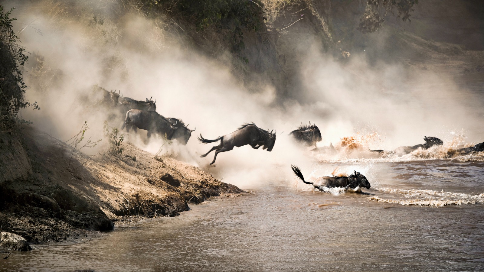 CAMPING SAFARI IN TANZANIA ICONIC NATIONAL PARKS