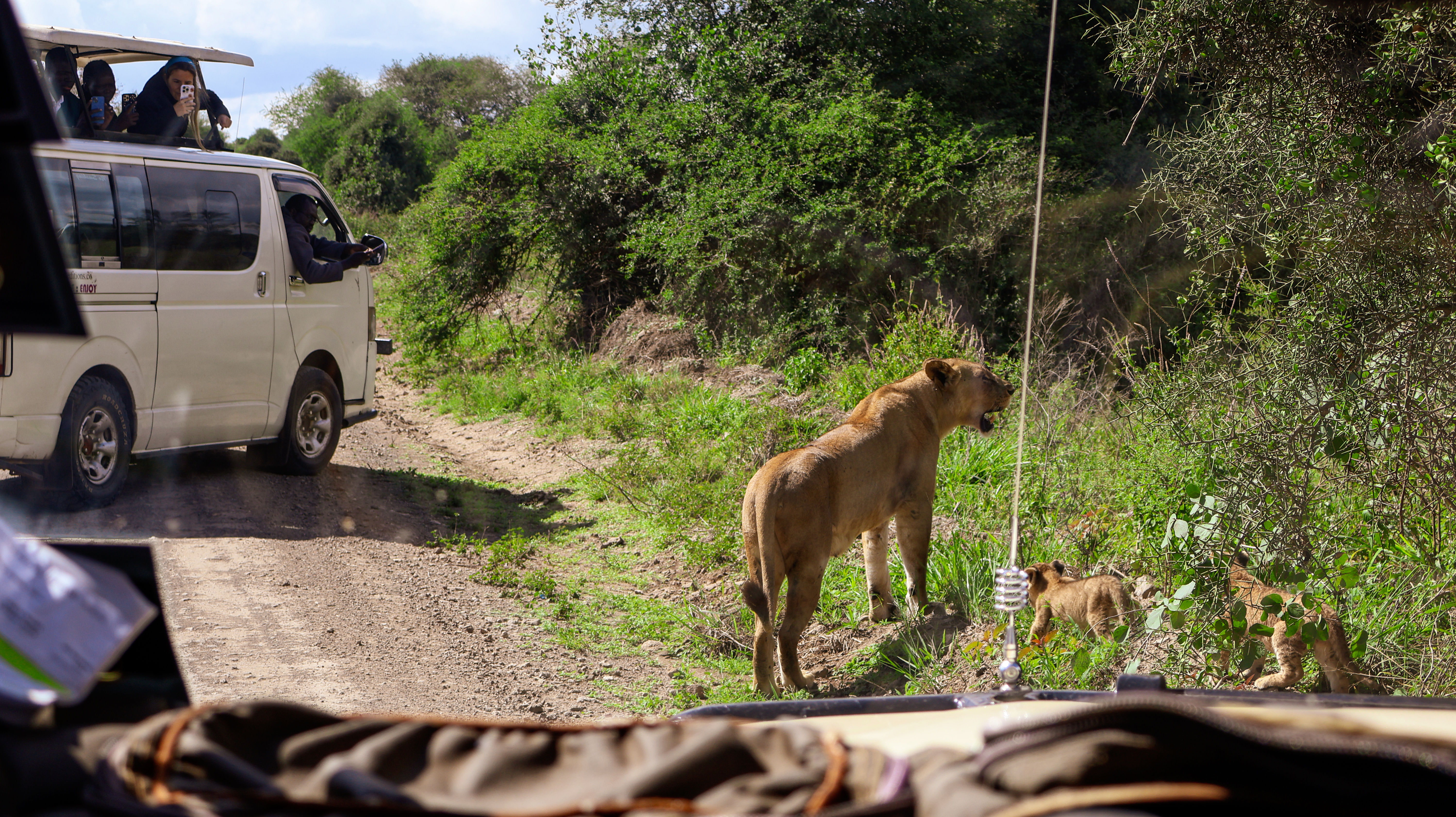 9-Day A Lavish Safari Escape 9-Day A Lavish Safari Escape