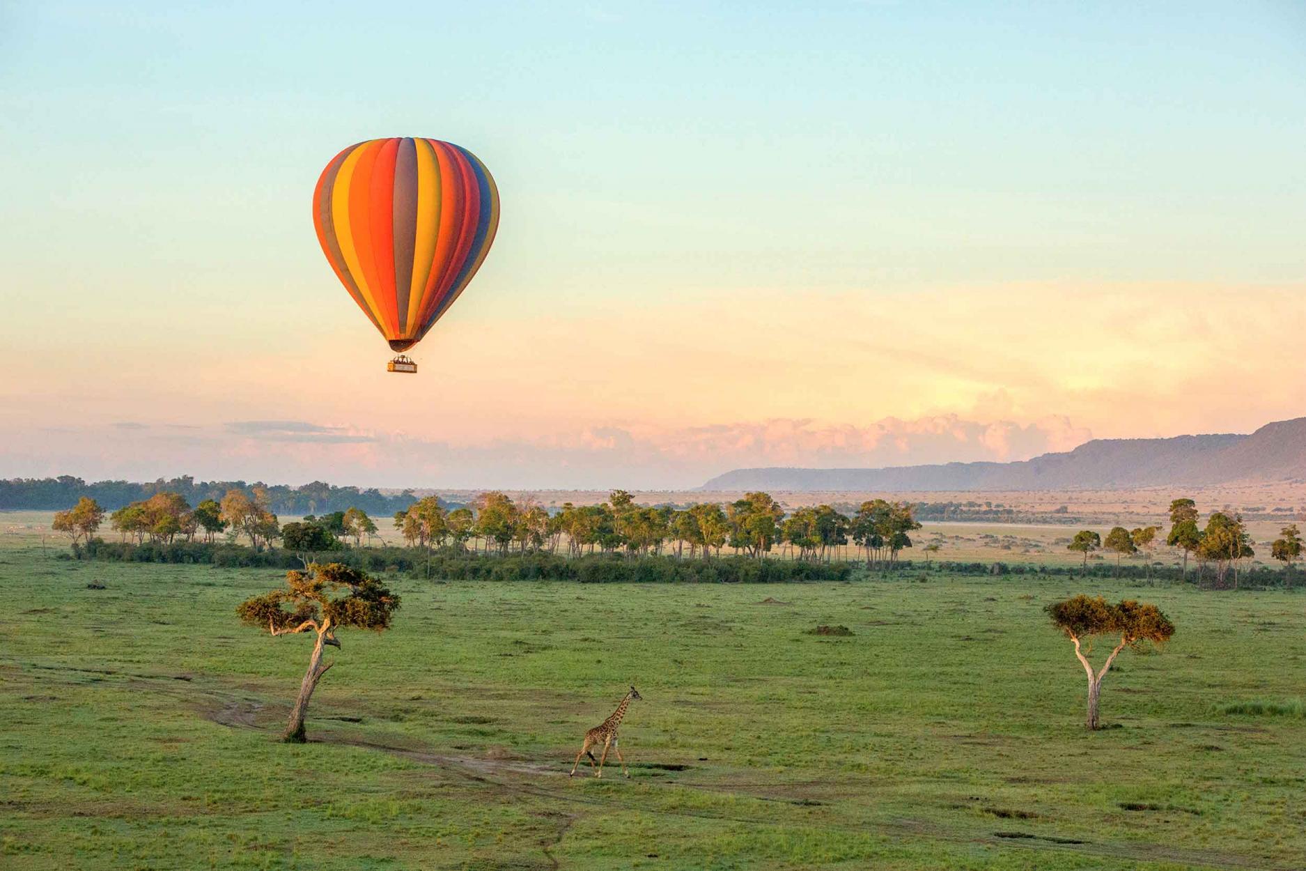 9 Days Tanzania and kenya safari 9 Days Tanzania and kenya safari