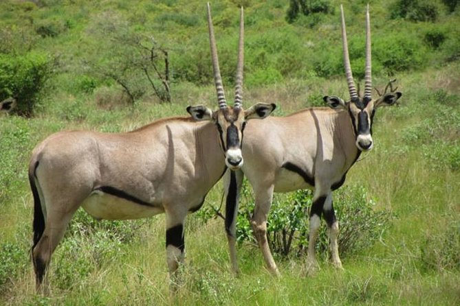 4 Days Samburu and Nakuru 4 Days Samburu and Nakuru