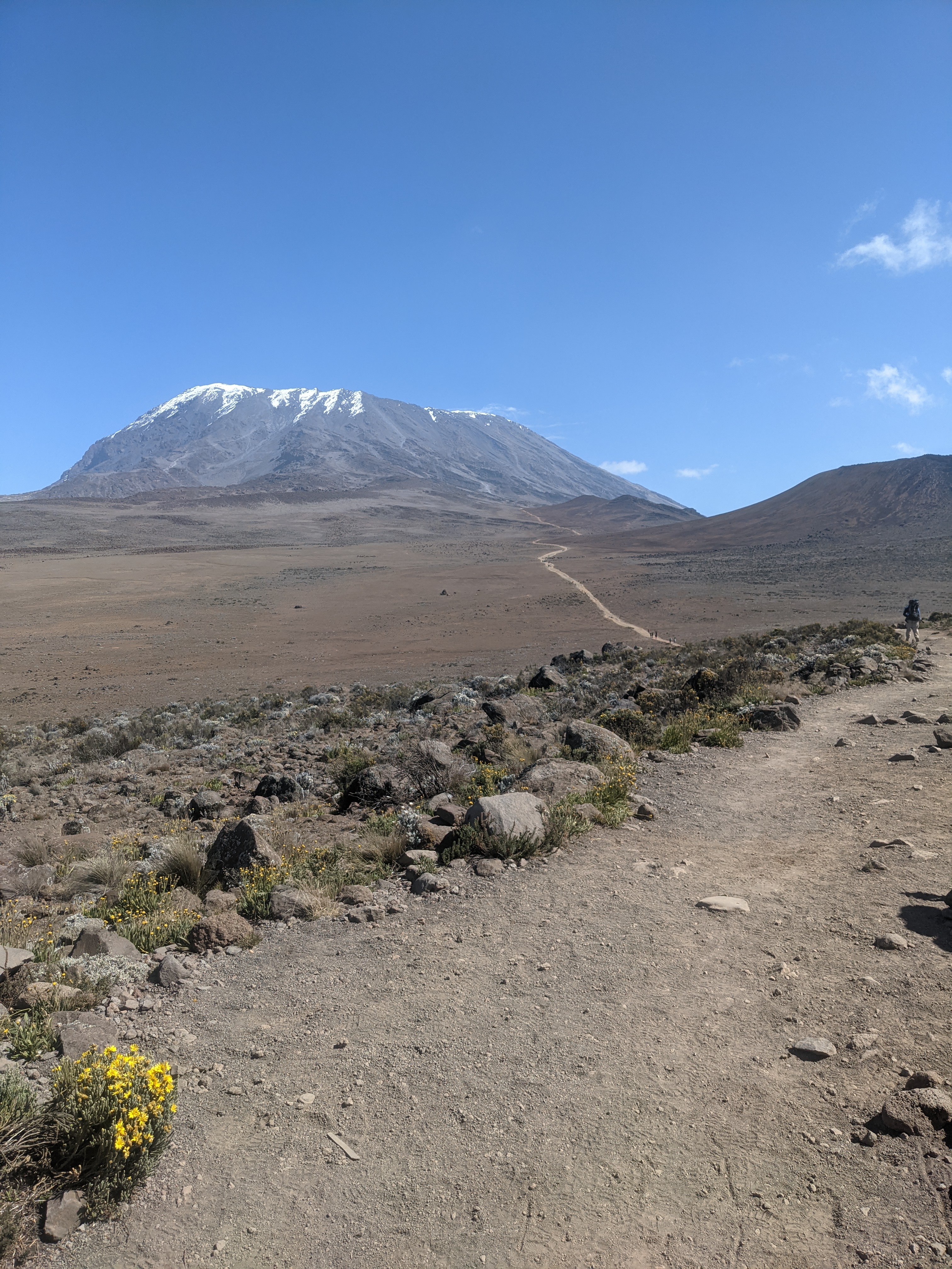 6 Days Rongai Route Kilimanjaro Climb 6 Days Rongai Route Kilimanjaro Climb