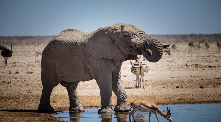 3 DAYS TANZANIA PRIVATE SAFARI 3 DAYS TANZANIA PRIVATE SAFARI