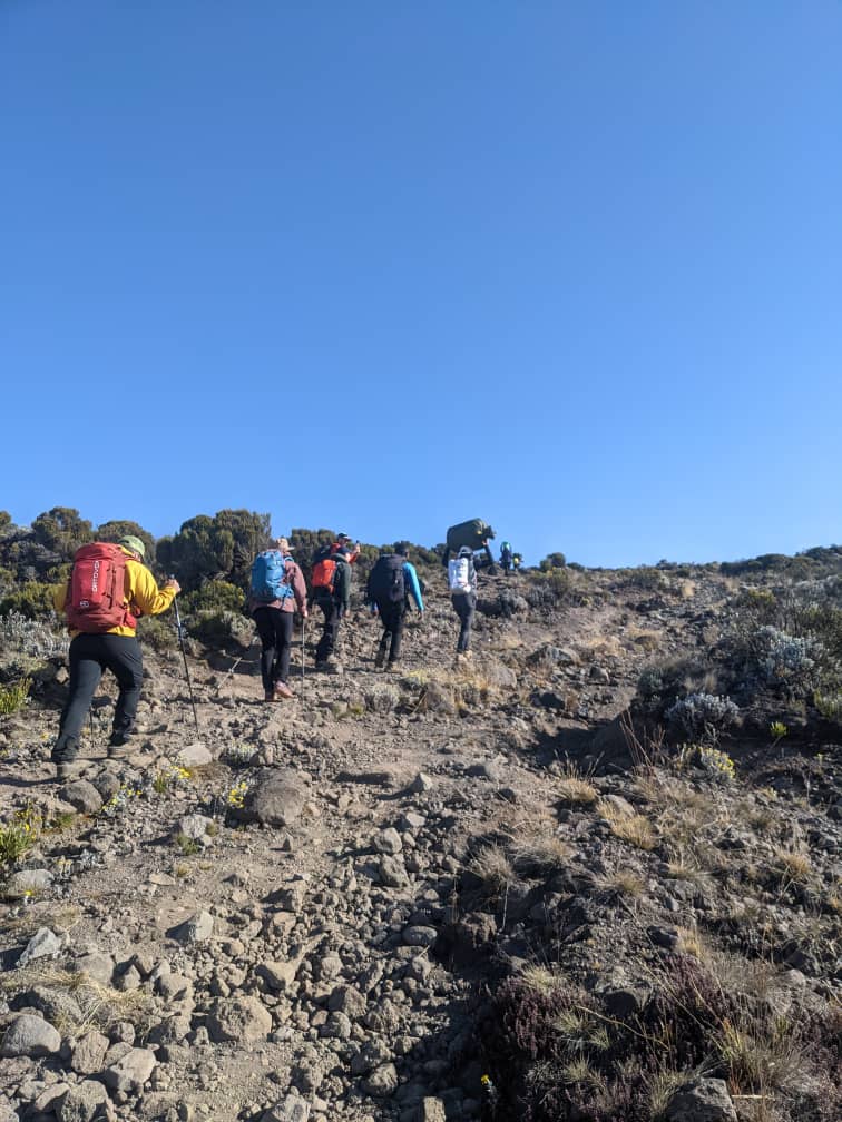 7 Days Rongai Route Kilimanjaro Climb 7 Days Rongai Route Kilimanjaro Climb