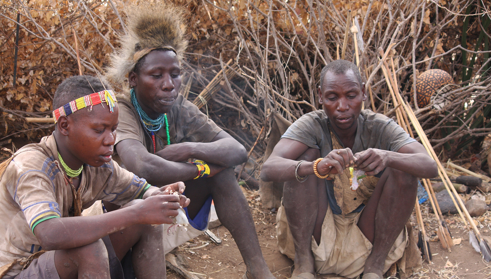 6 Days Tanzania Cultural Tour & Camping Safari 6 Days Tanzania Cultural Tour & Camping Safari