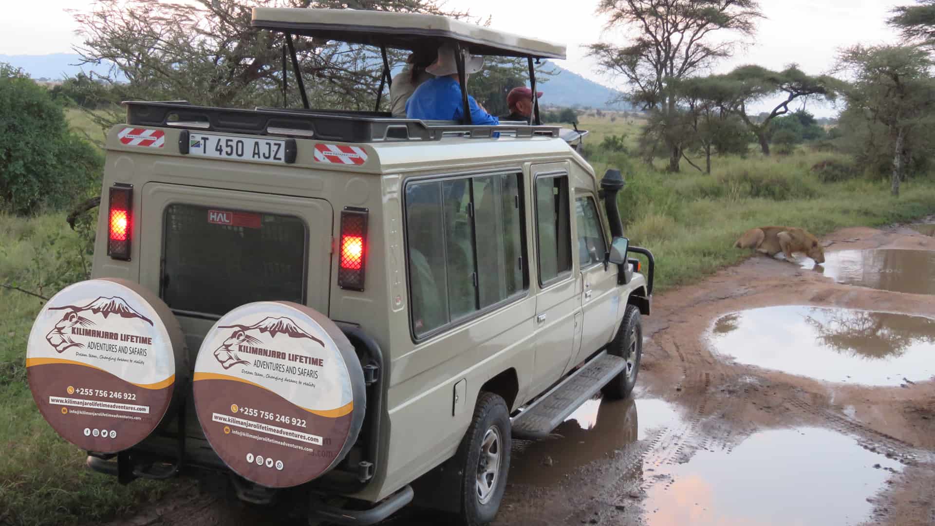 4 Days Tanzania Sharing Budget Safari 4 Days Tanzania Sharing Budget Safari