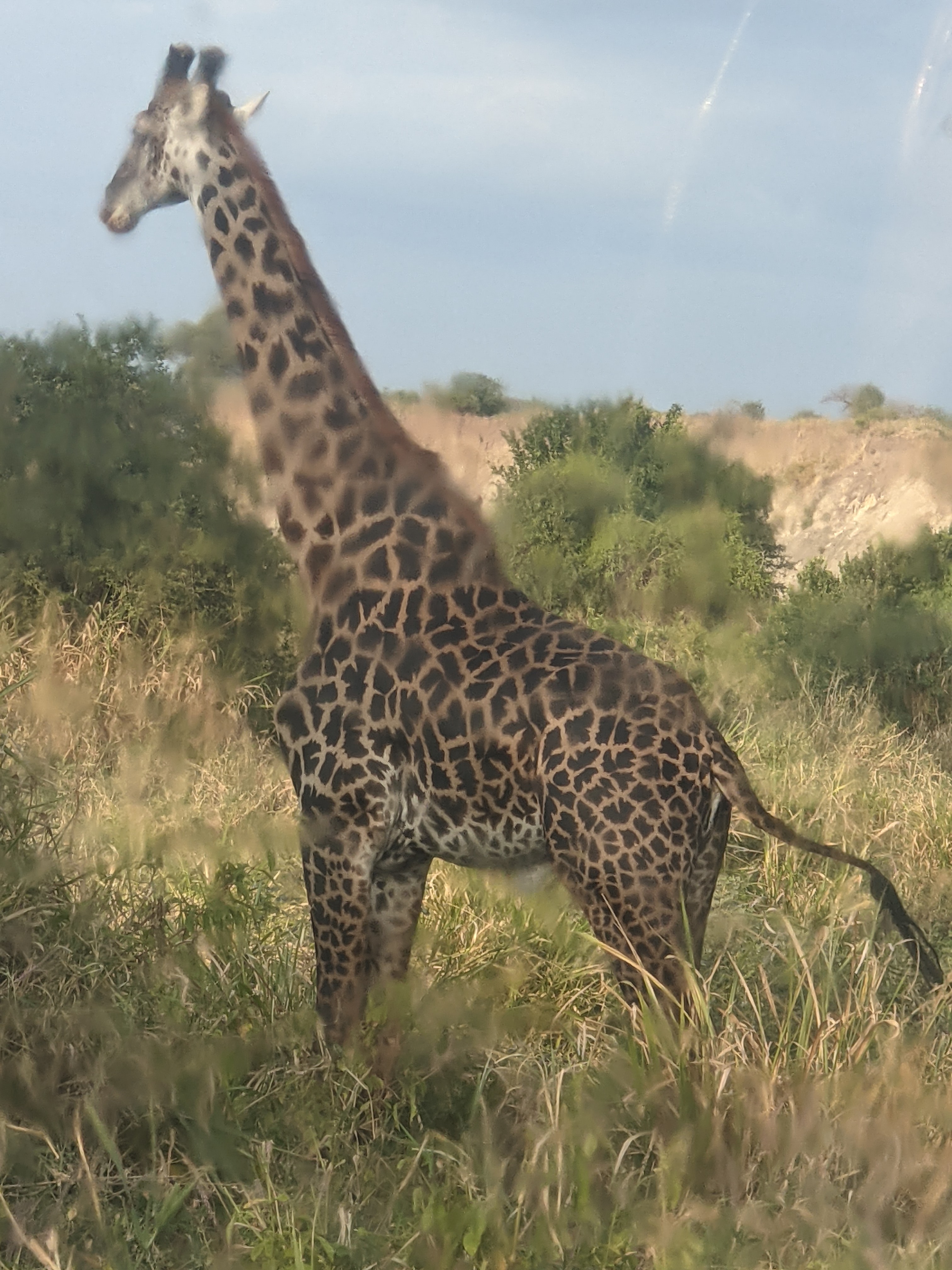 Arusha National Park Day Trip Arusha National Park Day Trip
