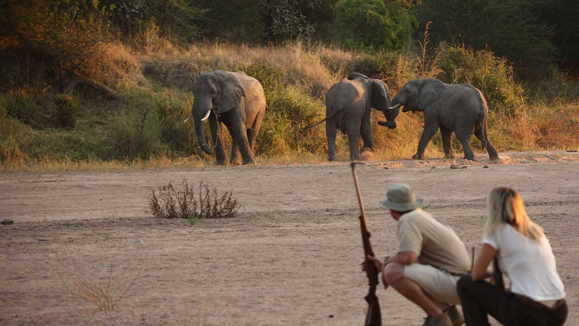 7-DAY TARANGIRE, LAKE MANYARA & SERENGETI SAFARI 7-DAY TARANGIRE, LAKE MANYARA & SERENGETI SAFARI